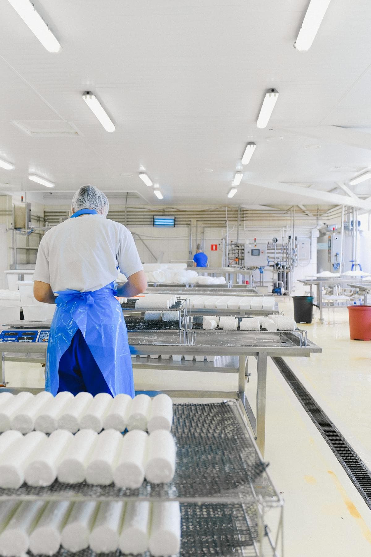 Agro-Processing Industrial Park — Phase 2